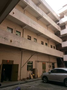 大朗毛織市場(chǎng)旁8元獨(dú)院標(biāo)準(zhǔn)廠房出租，打造毛織產(chǎn)業(yè)福地